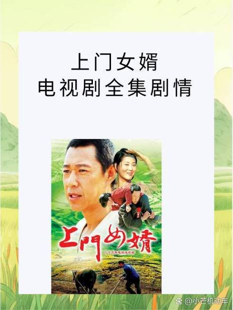 上门女婿小说免费阅读缩略图