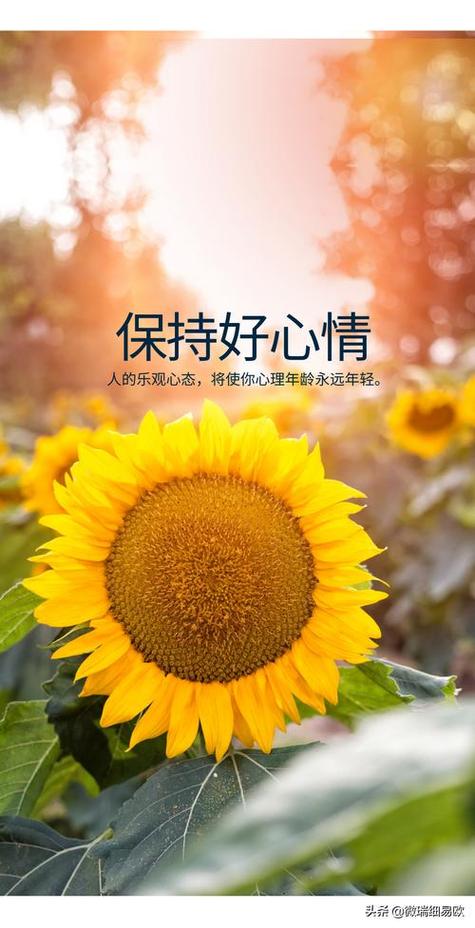 好心情 心理缩略图