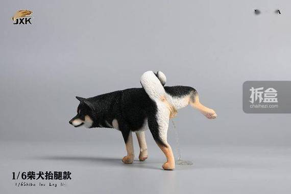 柴犬拉屎臭嘛游戏截图