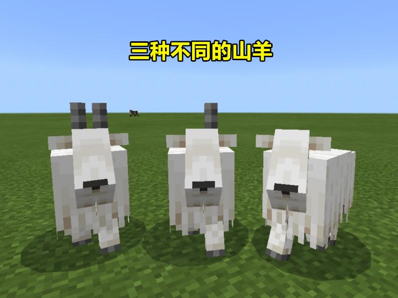 我的世界小羊