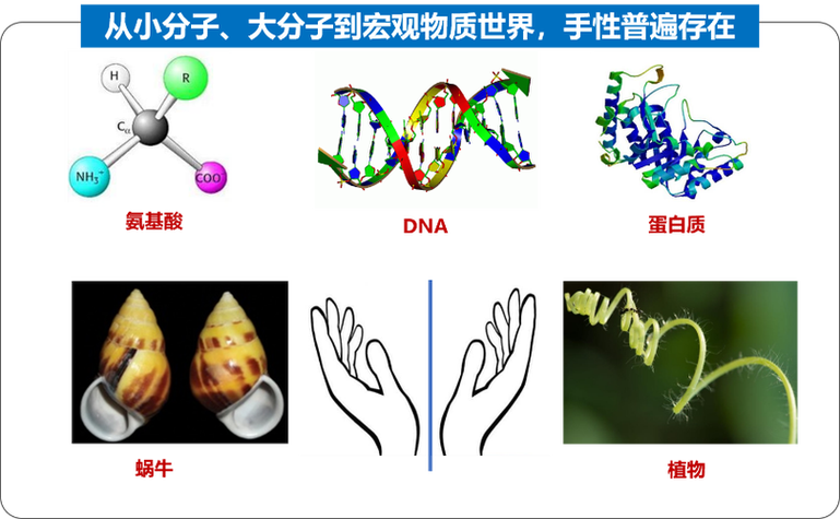 小米8跟手性多少