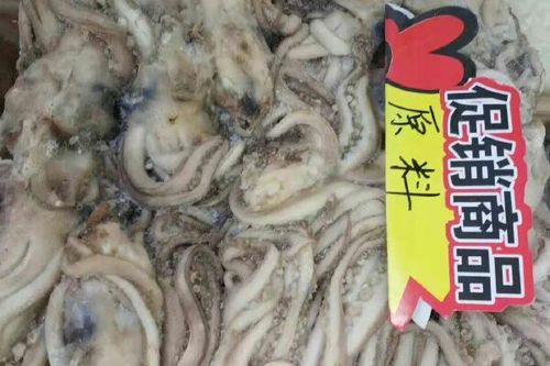 阿根廷鱿鱼最新消息游戏截图