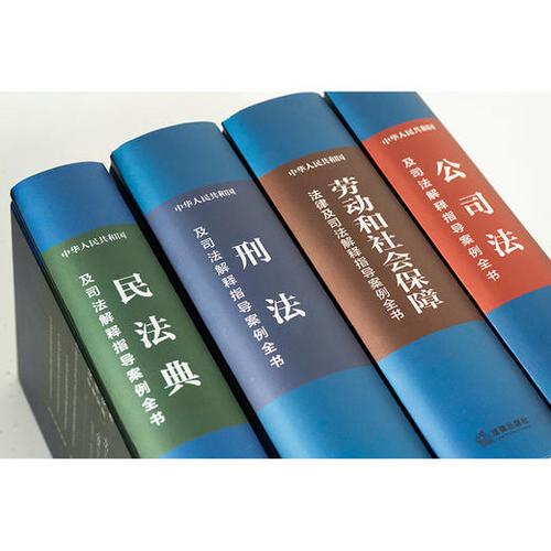 法律案例分析图标