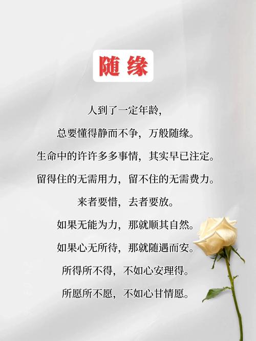 随心缘什么意思缩略图