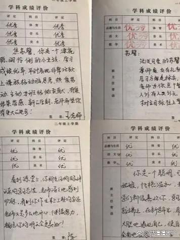 综合素质评价自我评价图标