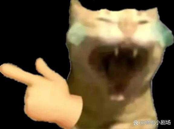 猫meme搞笑到吐血视频游戏截图