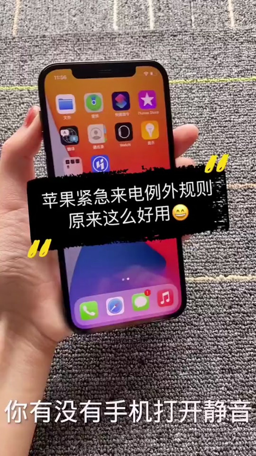 iPhone 紧急来电例外规则是什么图标