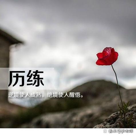 强身健体最经典十句话缩略图