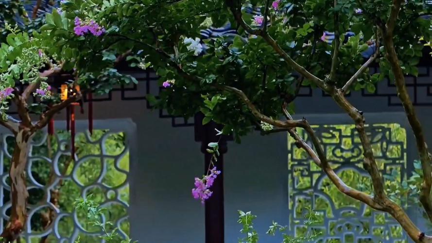 桃花屋里桃花庵的电视剧缩略图