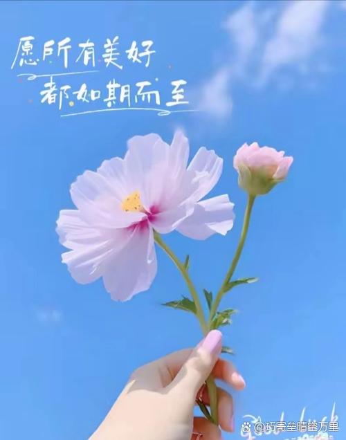 正能量墙贴图标