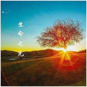 生命唯一的光爱吃肉的草讲什么