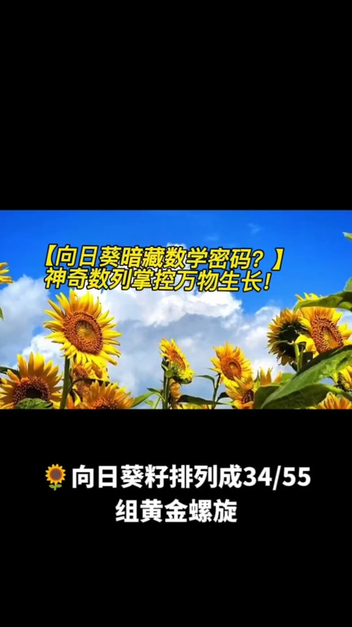向日葵一直显示密码错误缩略图
