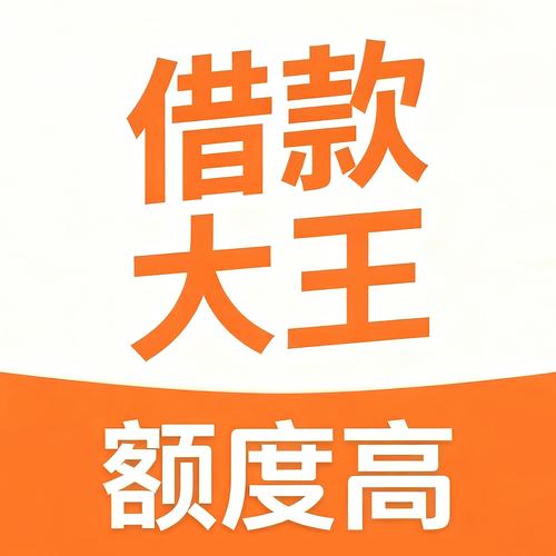 借款大王是正规的贷款公司吗
