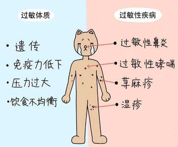 40种过敏源对照表