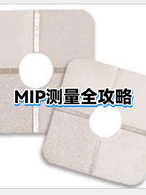 mip是什么币发行多少