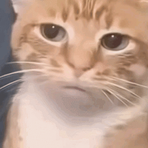 猫meme蔬菜表情包缩略图