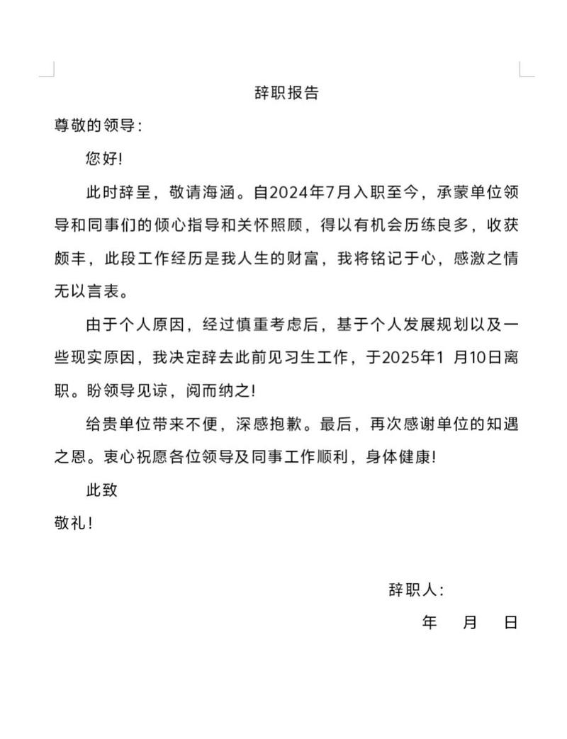 职场保卫战辞职理由游戏截图