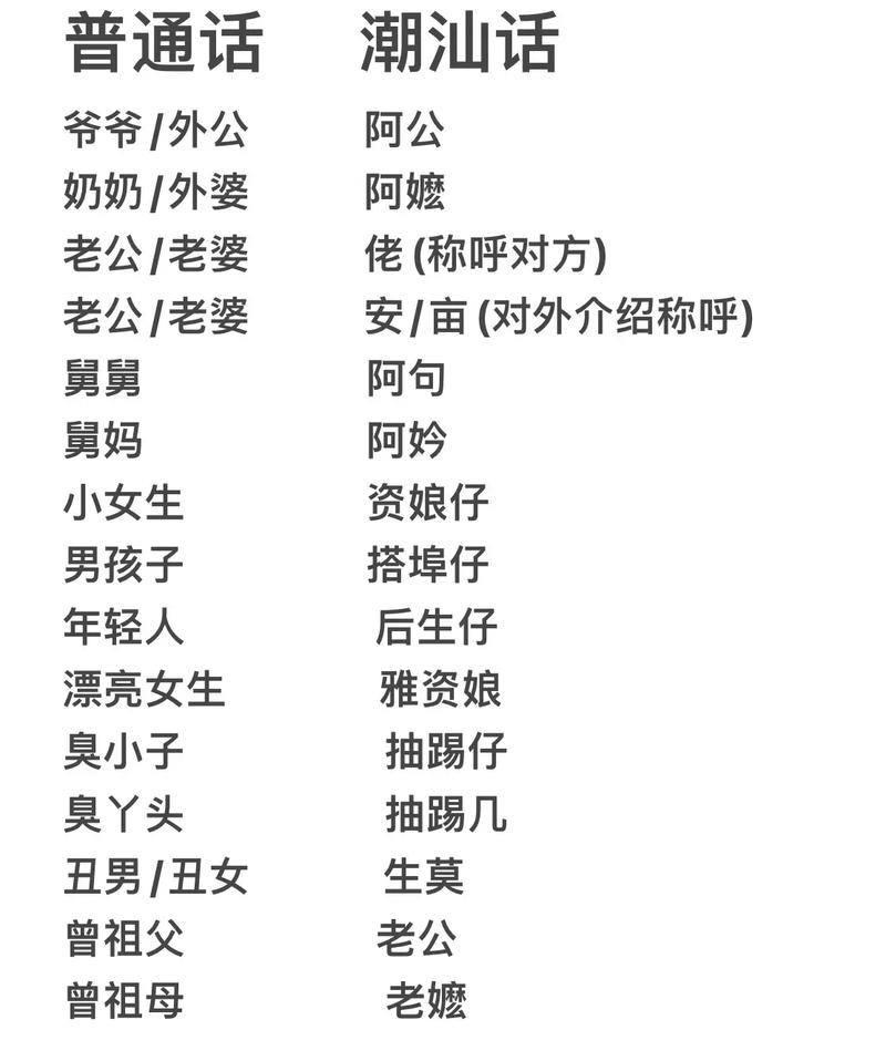 在线潮汕话翻译语音缩略图
