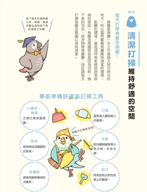 养什么鸟最干净又好养游戏截图