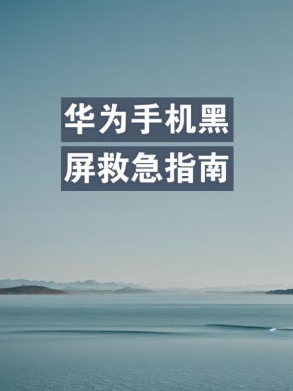 华为手机视频聊天黑屏缩略图