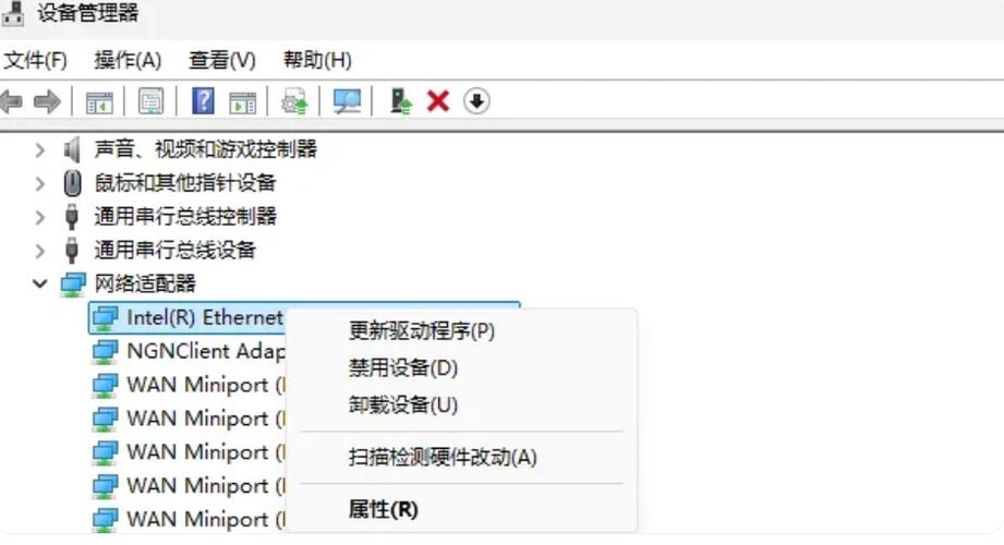 饥荒单机版闪退问题怎么解决