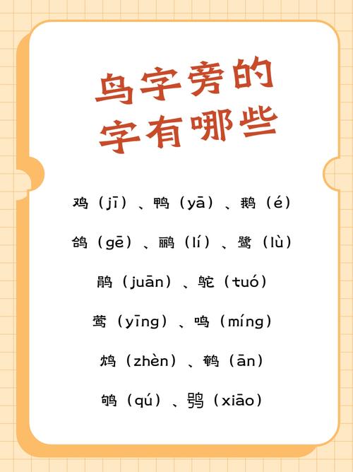 就和鸟读什么