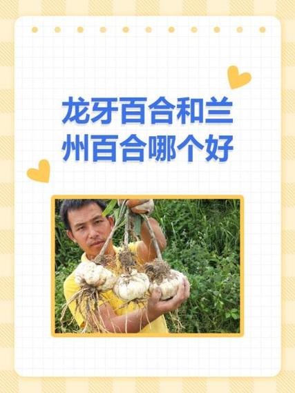 龙牙适合什么人佩戴缩略图