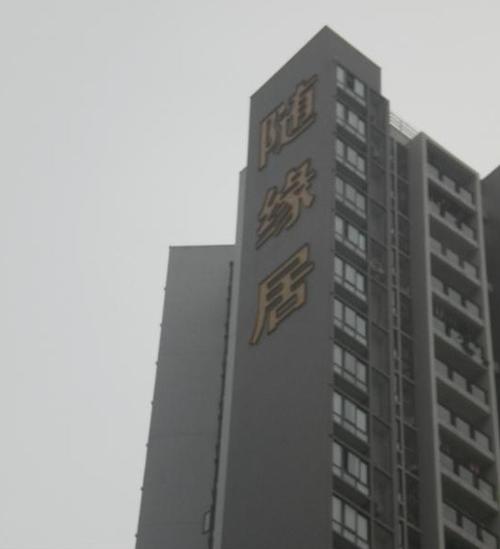 随缘居小说游戏截图
