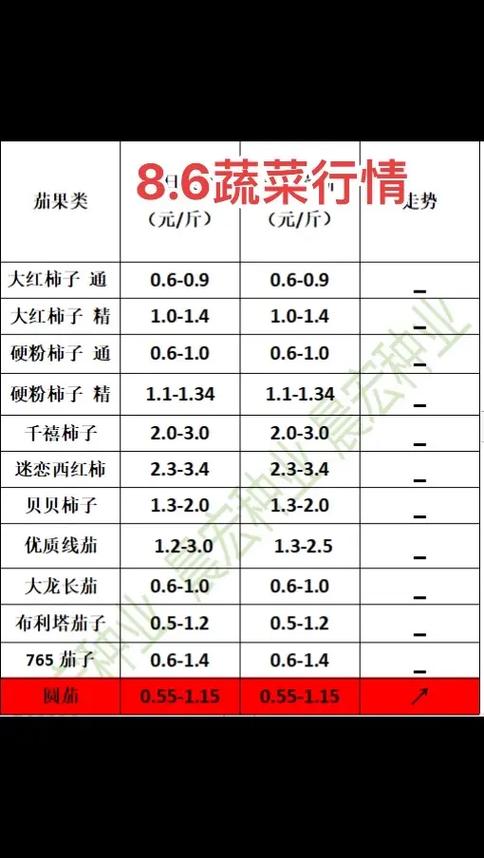 番茄一天能赚多少钱缩略图