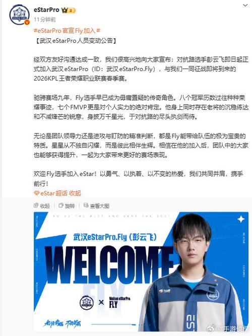 kpl职业选手认证代码缩略图
