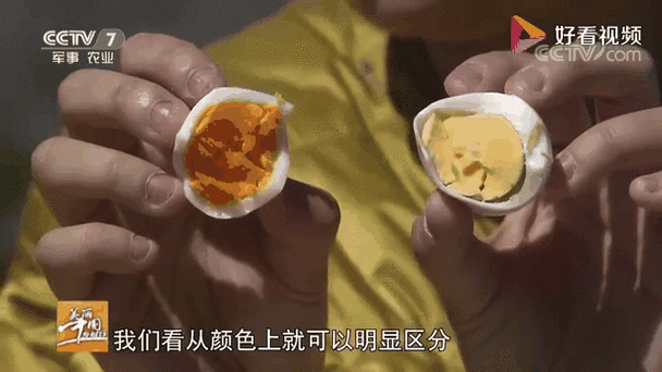 鸡蛋黄是橘红色是怎么回事缩略图