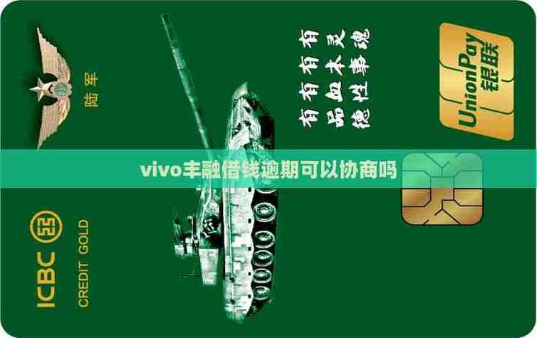 vivo丰融借钱缩略图