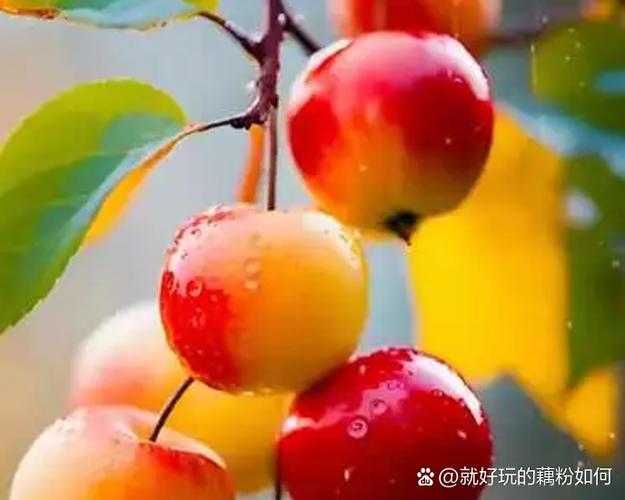 心跳快最好三个水果