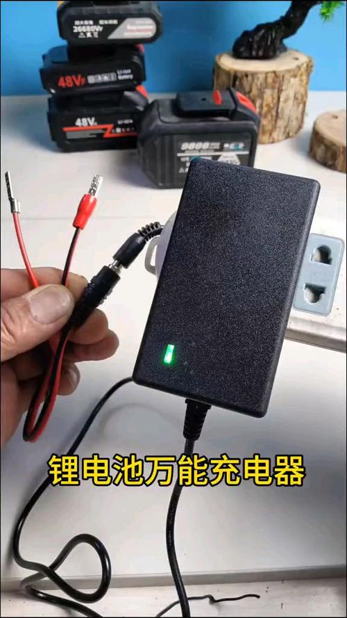 48v锂电池充不进去电怎么办游戏截图