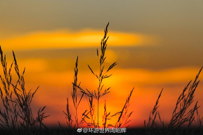 晨光微曦缩略图