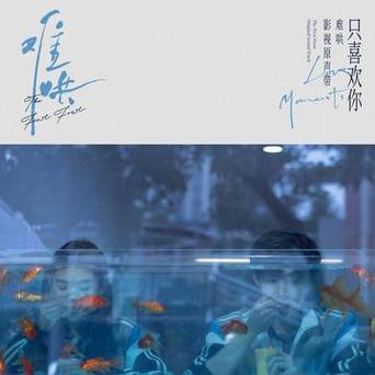 只是喜欢你电视剧免费观看游戏截图