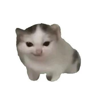 meme猫表情包游戏截图