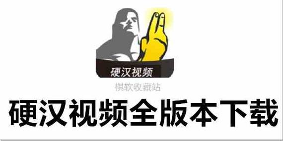 硬汉视频app点评缩略图