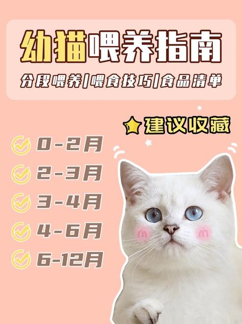 哪种猫咪品种最适合新手养图标