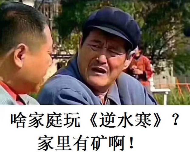 我家里有矿2缩略图