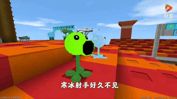 植物大战僵尸月亮豆