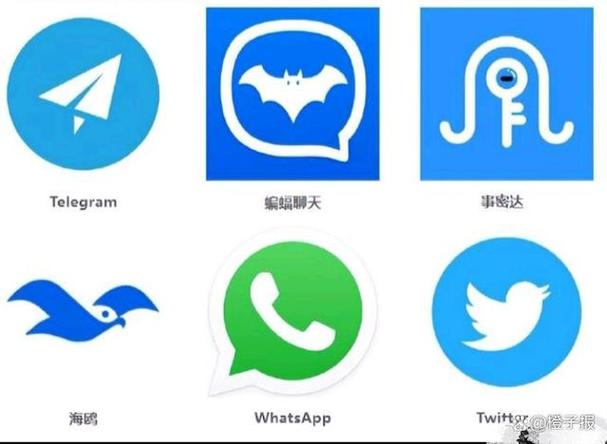 密聊猫和蝙蝠哪个更安全图标