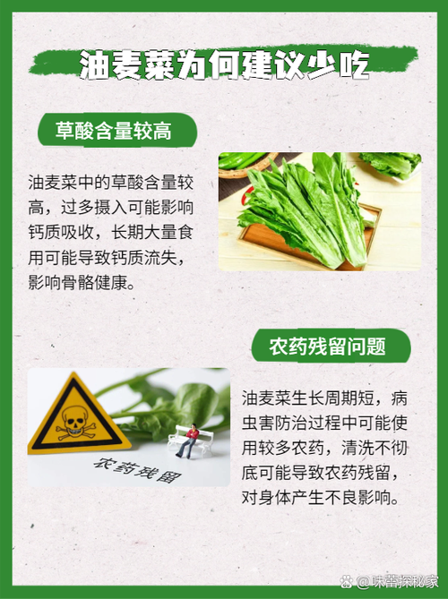 油麦菜好不好