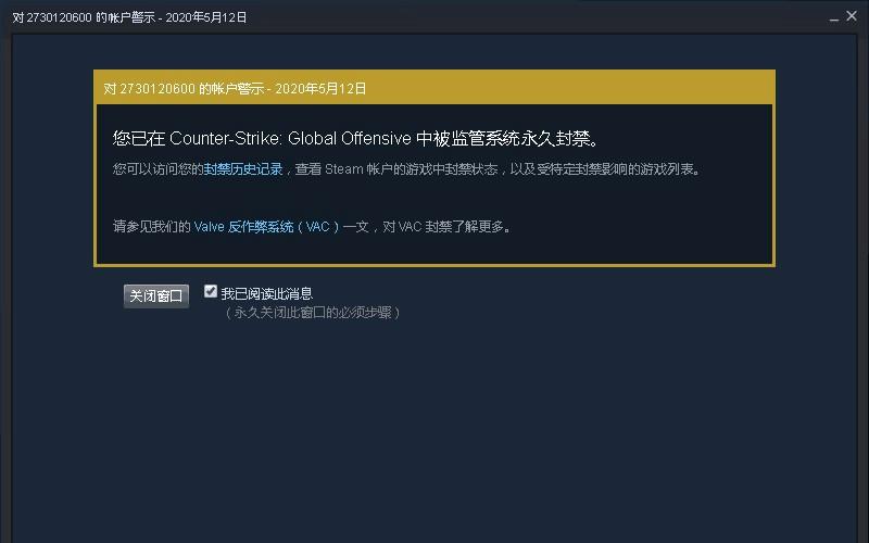 被vac可以打单机吗图标