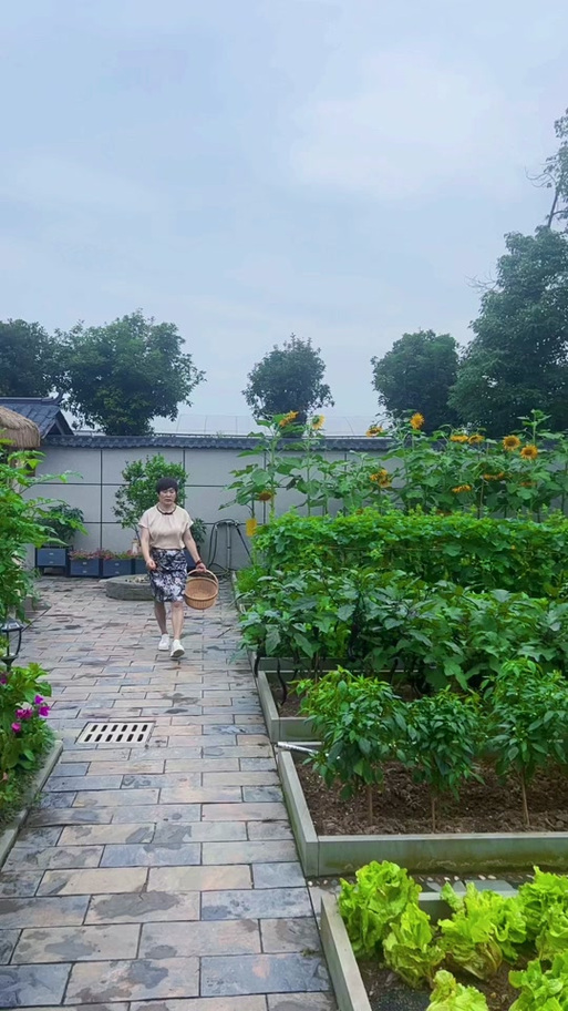 我的农家小院缩略图
