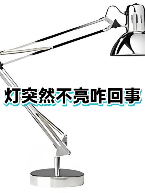 台灯突然不亮的原因游戏截图
