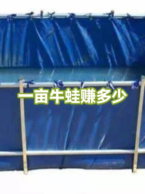 养牛蛙一亩能赚多少钱缩略图