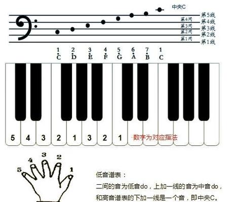 低音谱号中央C在哪里