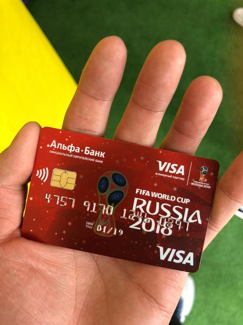 visa卡apple pay游戏截图