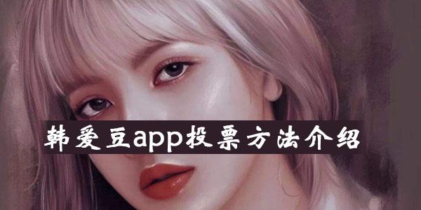 韩爱豆投票规则游戏截图